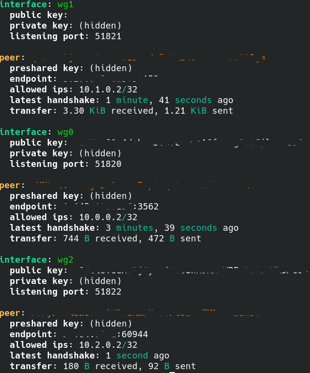 Active WireGuard Interfaces